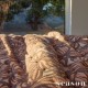 Edredon|Quilt MONARCA